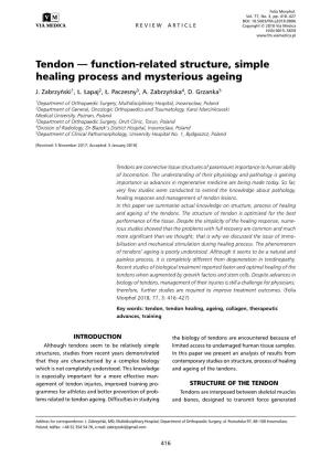 Tendon — Function-Related Structure, Simple Healing Process and Mysterious Ageing J