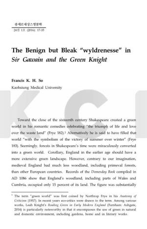 The Benign but Bleak “Wyldrenesse” in Sir Gawain and the Green Knight