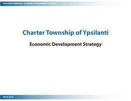 Economic Development Strategy Report