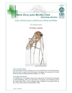 Aedes (Ochlerotatus) Subalbirostris Klein and M Arks