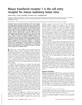 Mouse Transferrin Receptor 1 Is the Cell Entry Receptor for Mouse Mammary Tumor Virus