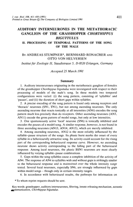 Auditory Interneurones in the Metathoracic Ganglion of the Grasshopper Chorthippus Biguttulus H