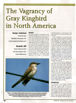 The Vagrancy of Gray Kingbird in North America