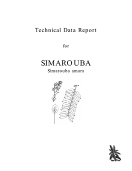 SIMAROUBA Simarouba Amara All Rights Reserved