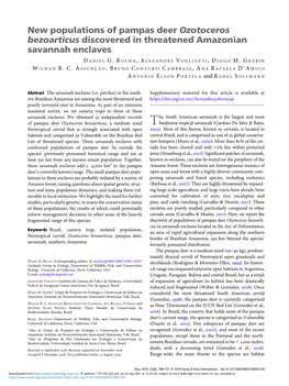 New Populations of Pampas Deer Ozotoceros Bezoarticus Discovered in Threatened Amazonian Savannah Enclaves