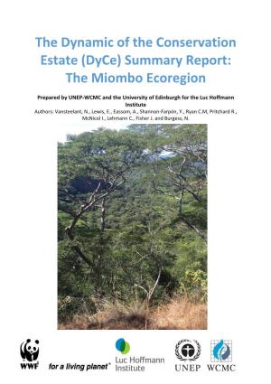 The Miombo Ecoregion