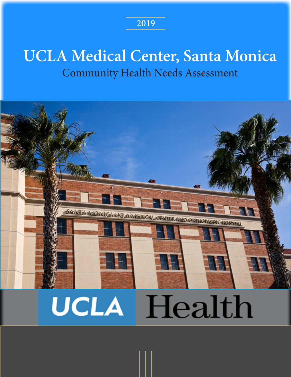 UCLA Medical Center, Santa Monica Community Health Needs Assessment Table of Contents