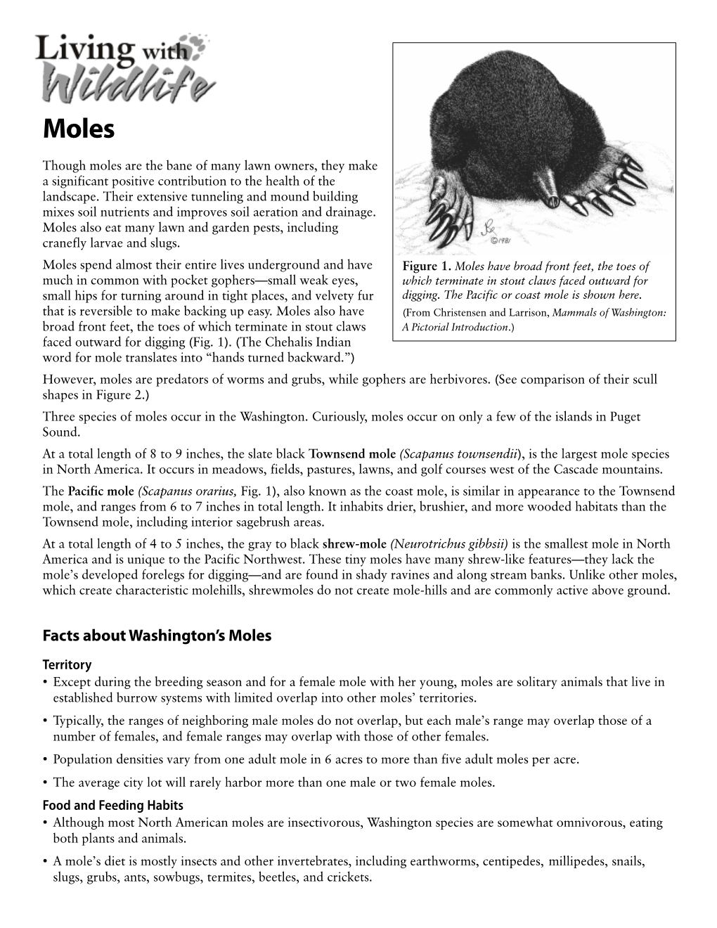 Facts About Washington's Moles