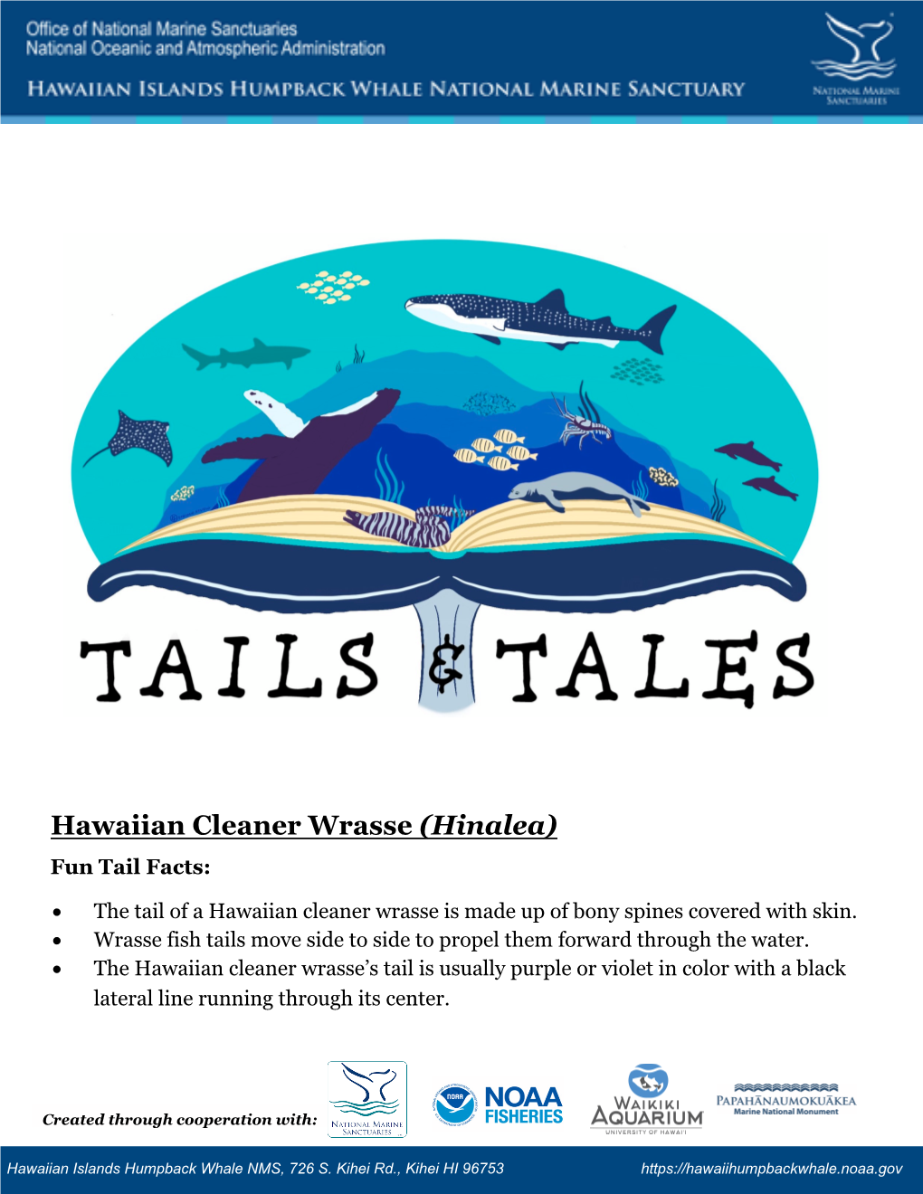 Hawaiian Cleaner Wrasse (Hinalea) Fun Tail Facts