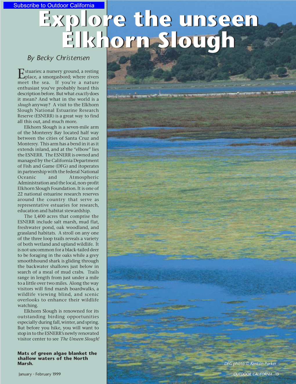 Explore the Unseen Elkhorn Slough