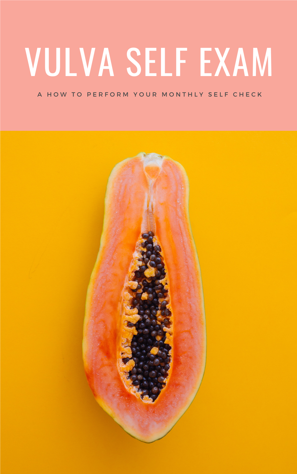 Vulva Self Exam Ebook FINAL