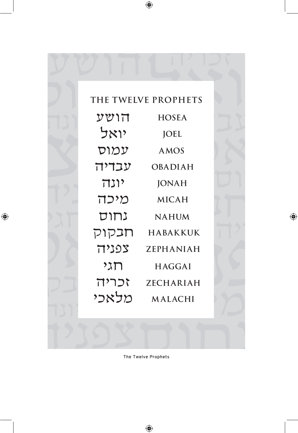 The Twelve Prophets Amos Through Malachi: Major Teachings of the Twelve Prophets