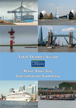 Thames Vision'have Your Say' Consultation Summaries by Sector