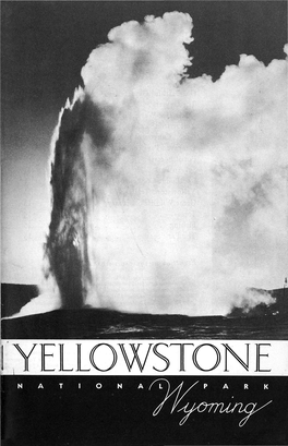 YELLOWSTONE N a T I O N a F LJ /J / P a R K Jfcuorrurias Yellowstonenationa L PARK