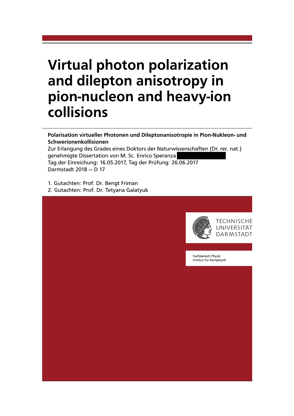 Virtual Photon Polarization and Dilepton Anisotropy in Pion-Nucleon and Heavy-Ion Collisions