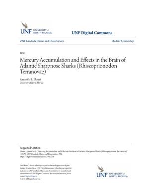 Mercury Accumulation and Effects in the Brain of Atlantic Sharpnose Sharks (Rhiszoprionodon Terranovae) Samantha L