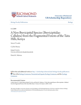 (Brevicipitidae: Callulina) from the Fragmented Forests of the Taita Hills, Kenya Simon P