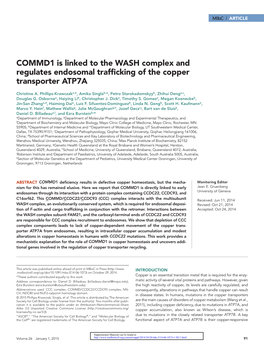 COMMD1 Is Linked to the WASH Complex and Regulates Endosomal Trafficking of the Copper Transporter ATP7A