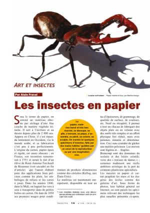 Les Insectes En Papier