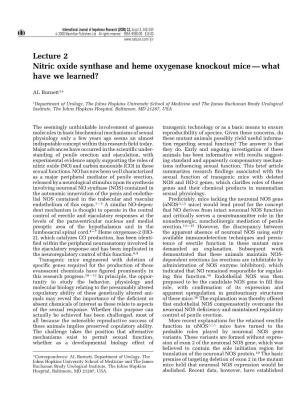 Lecture 2 Nitric Oxide Synthase and Heme Oxygenase Knockout Mice Ð What Have We Learned?