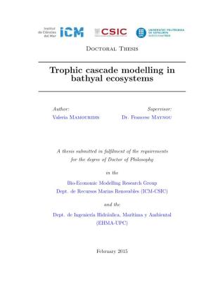 Trophic Cascade Modelling in Bathyal Ecosystems