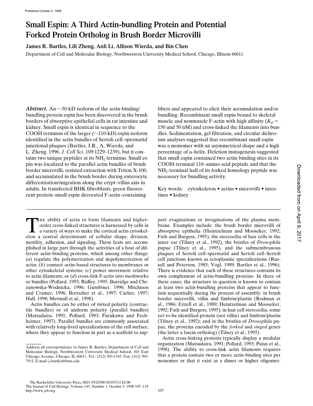 Small Espin: a Third Actin-Bundling Protein and Potential Forked Protein Ortholog in Brush Border Microvilli James R