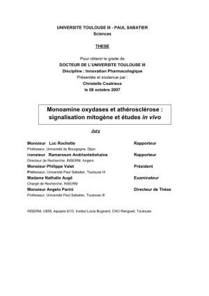 Monoamine Oxydases Et Athérosclérose : Signalisation Mitogène Et Études in Vivo