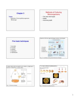 Chapter 3 Methods of Culturing Microorganisms Five Basic