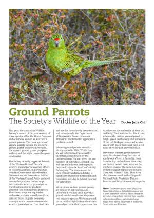 Ground Parrots the Society’S Wildlife of the Year Doctor Julie Old