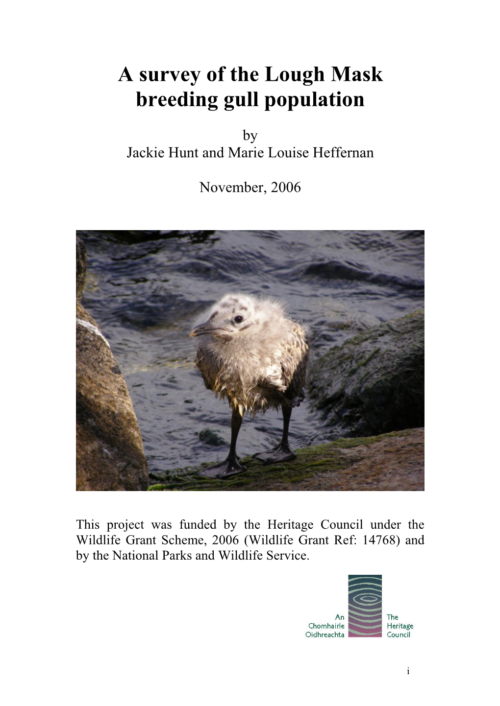 A Survey of the Lough Mask Breeding Gull Population