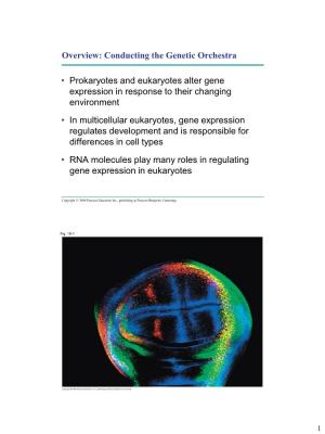 Mechanisms of Prokaryotic Gene Regulation