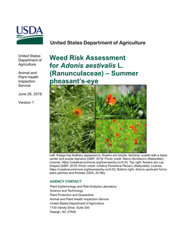 Weed Risk Assessment for Adonis Aestivalis L. (Ranunculaceae)