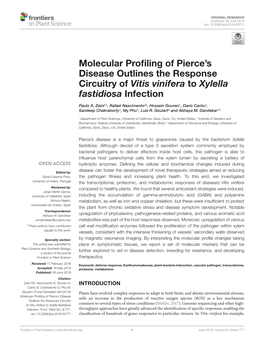 Molecular Profiling of Pierce's Disease Outlines the Response Circuitry Of