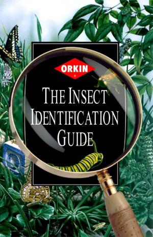 INSECT IDENTIFICATION GUIDE Some Can Lift Over 50 Times Their Body Weight