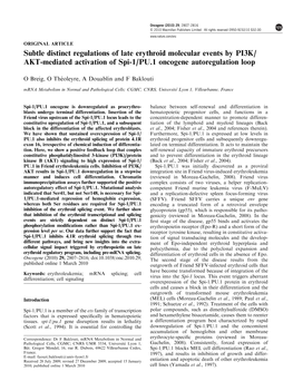 PU.1 Oncogene Autoregulation Loop
