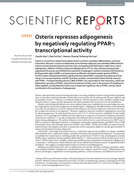 Osterix Represses Adipogenesis by Negatively Regulating Pparγ