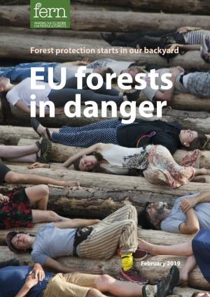 EU Forests in Danger: Forest Protection Starts in Our Backyard