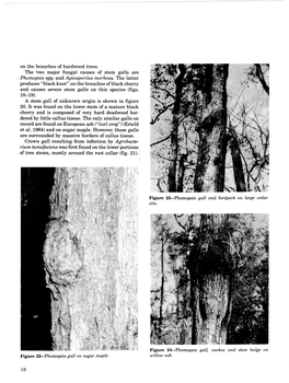 Phomopsis Spp. and Apiosporina Morbosa the Latter 18