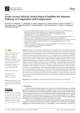 Ixodes Ricinus Salivary Serpin Iripin-8 Inhibits the Intrinsic Pathway of Coagulation and Complement