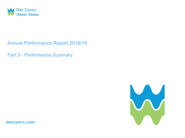 Annual Performance Report 2019