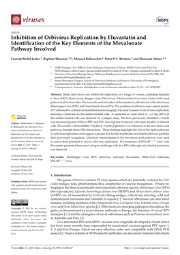 Inhibition of Orbivirus Replication by Fluvastatin and Identification of The