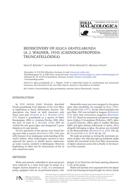 Rediscovery of Iglica Gratulabunda (A. J. Wagner, 1910) (Caenogastropoda: Truncatelloidea)