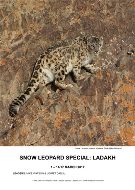 Snow Leopard Special: Ladakh