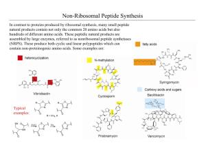 Non-Ribosomal Peptide Synthesis