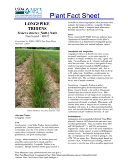 Longspike Tridens Plant Fact Sheet