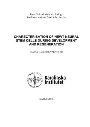 Charecterisation of Newt Neural Stem Cells During Development and Regeneration