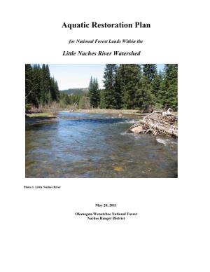 Aquatic Restoration Plan Little Naches River Watershed