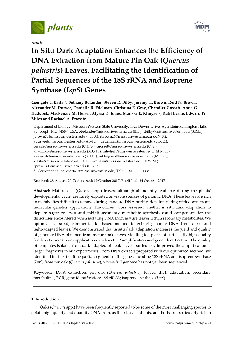 In Situ Dark Adaptation Enhances the Efficiency of DNA Extraction