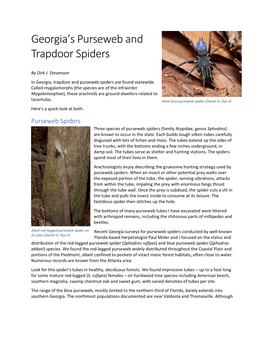 Georgia's Purseweb & Trapdoor Spiders