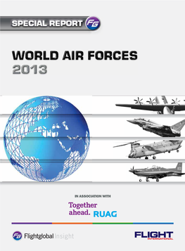 World Air Forces 2013